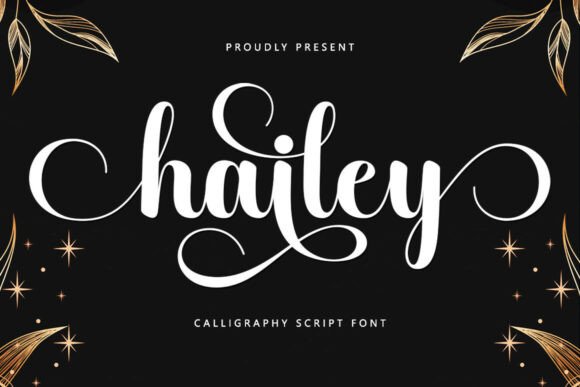 Hailey: The Elegant Script Font for Polished Design